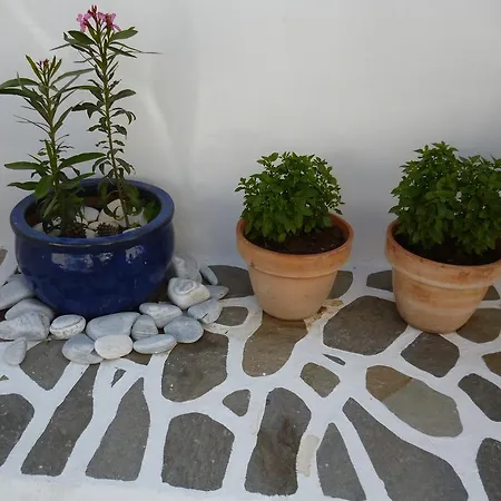 Apartment Olympian-apartments