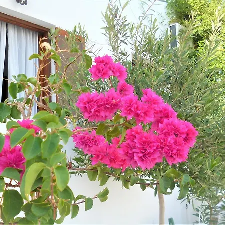 Olympian-apartments *