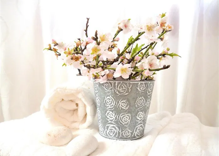 Olympian-apartments Paro